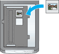 reference guide for epson perfection 2480 photo